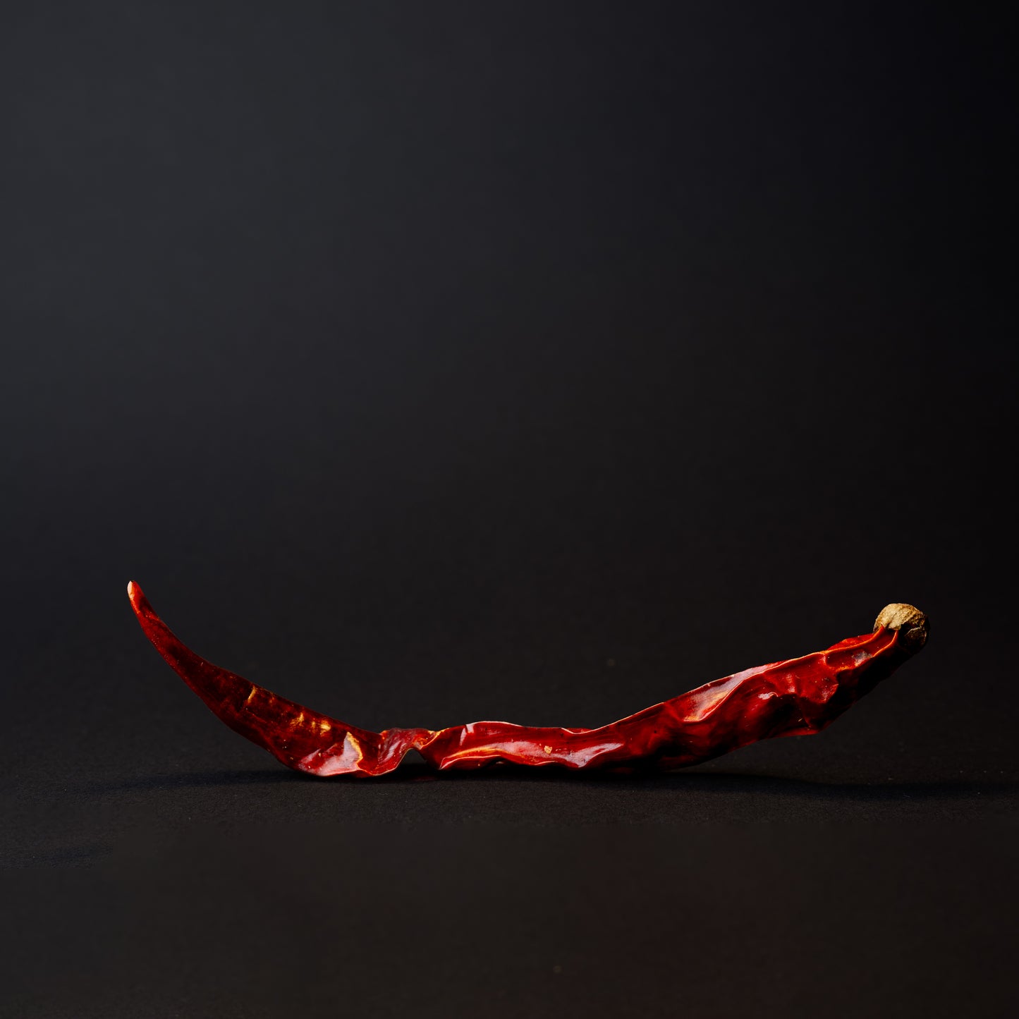 One er jing tiao chili pepper on a black background.