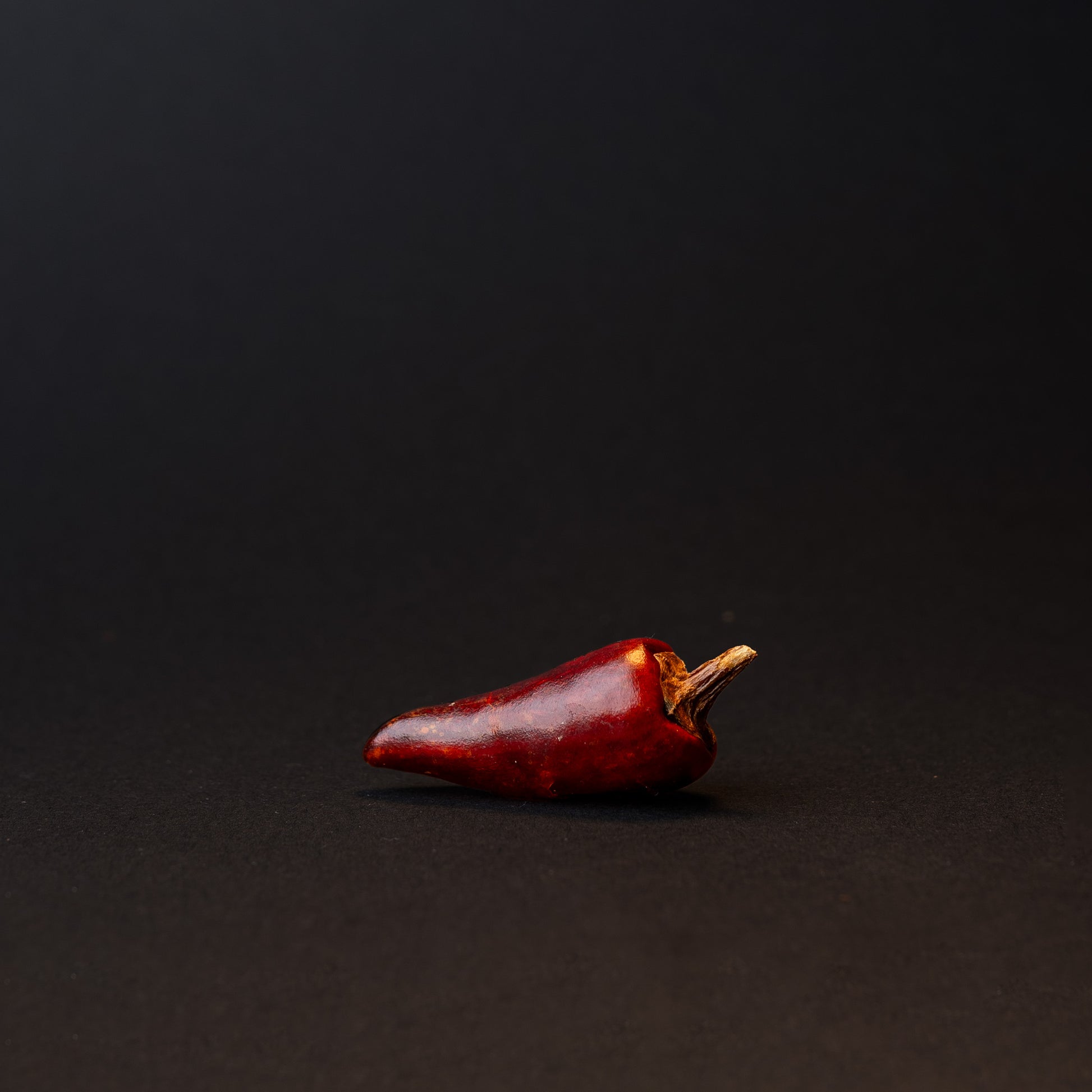 A zi dan tou chili pepper on a black background. 